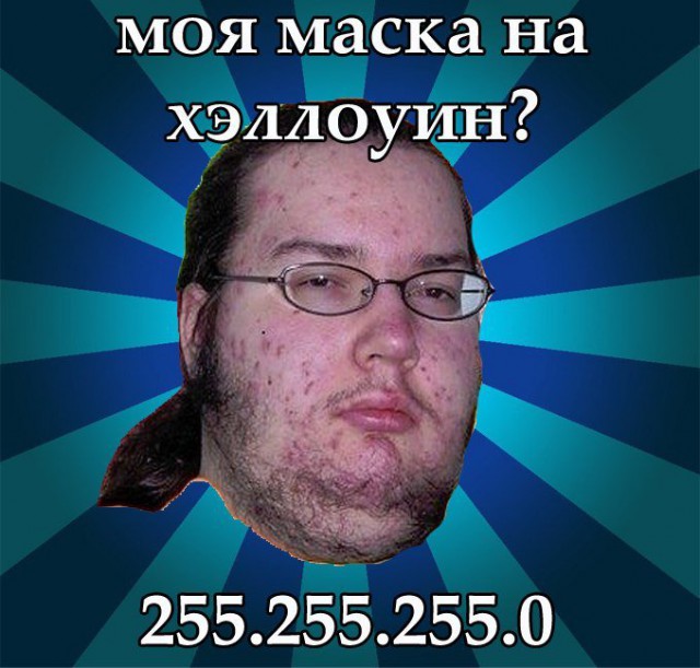А вот и деградация подтянулась! Ныряем в омут с головой!