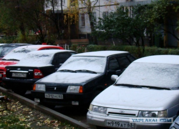 ТОП-5 нелепых предложений от депутатов в 2012 году