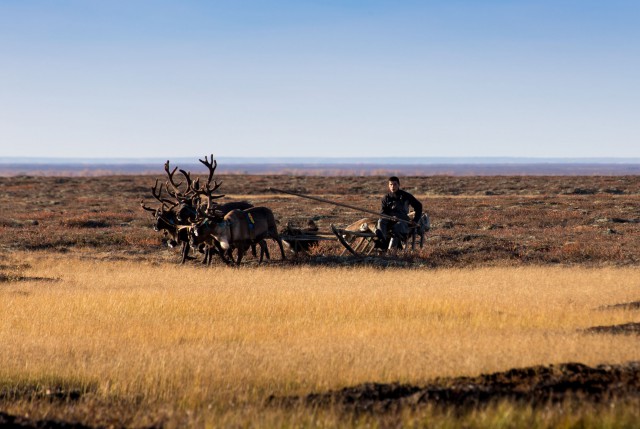 Просто Природа