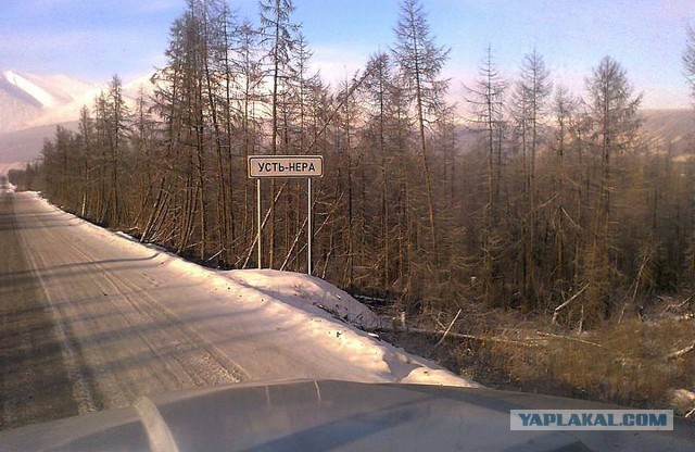 Выжить и не сломаться