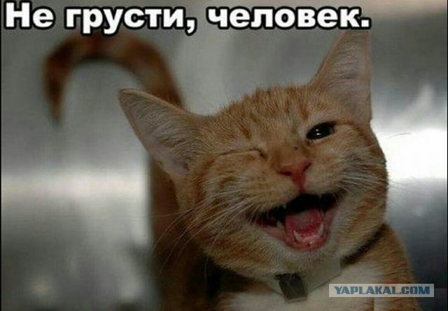 «Скучали по мне?»: световая проекция с улыбающимся Путиным появилась на здании МИД Великобритании