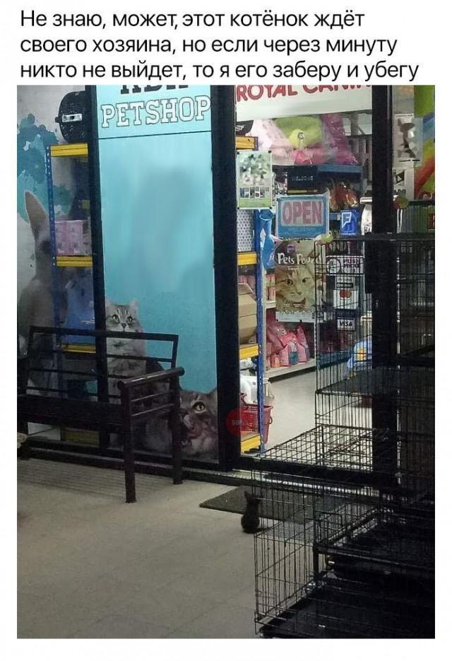 Нестандартный юмор