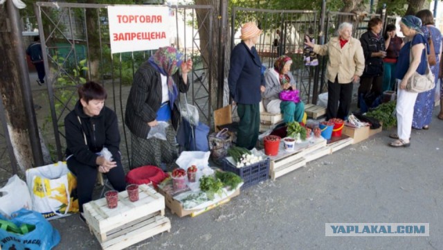 Налог на стакан молока принят. Как теперь жить подрабатывающему пенсионеру?