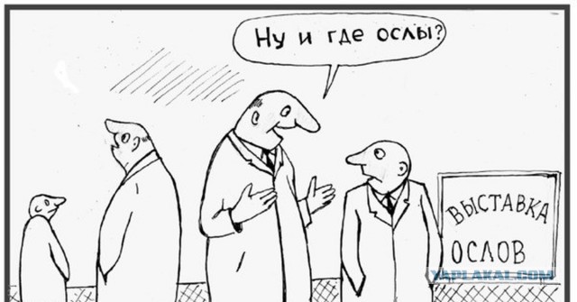 Контактный зоопарк имени "Пятёрочкина"