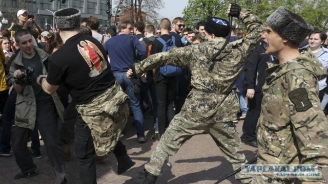 За что так не любят казаков?