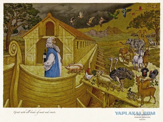 Ной в новом образе