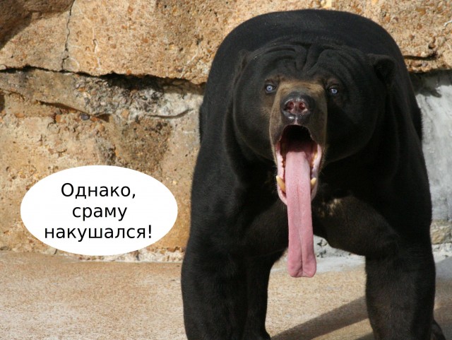 Лучшие Техники Секса ТОП 100