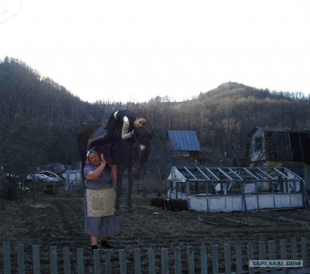 фотожаба: с бревном