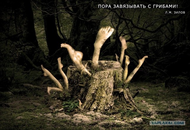 Фотожаба: Да грибам!