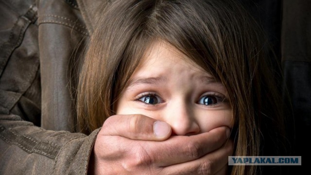 В Ленинградской области мигрант насиловал 8-летнюю дочь своей подружки.
