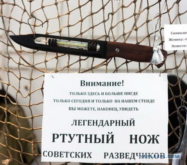 Еще внукам послужит: лучшие и прочнейшие ножевые стали