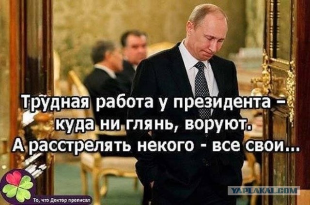 Весёлый полтишок 6.03