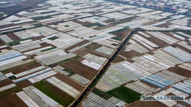 Украина. Началось