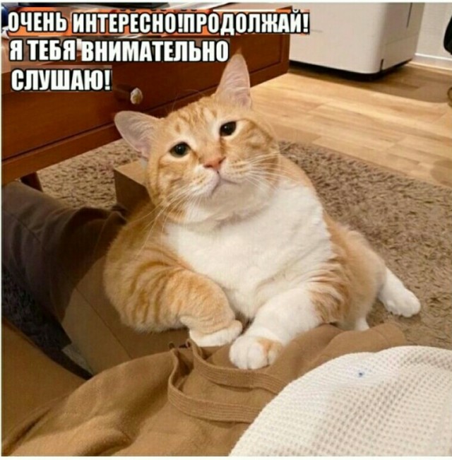 Четырёхмерная сфера, двойка по математике (история из жизни)