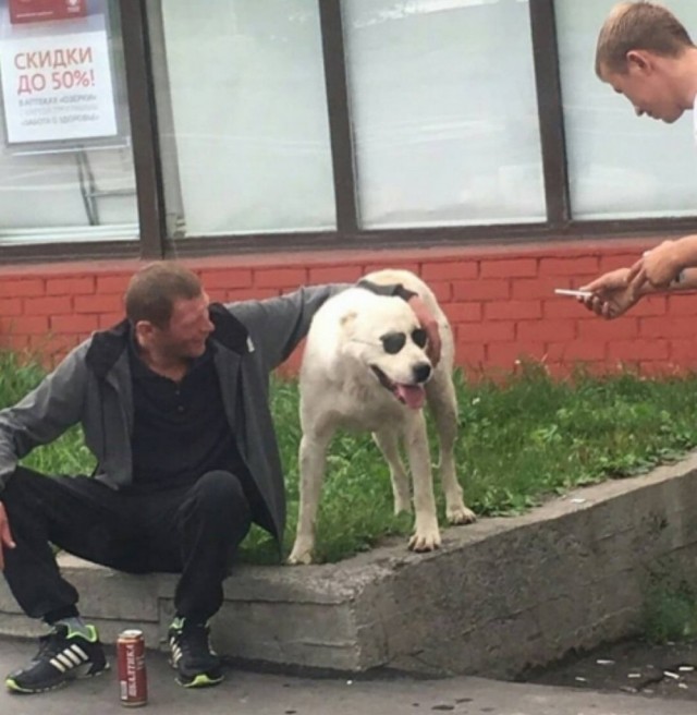Чудики из социальных сетей 04.04.21
