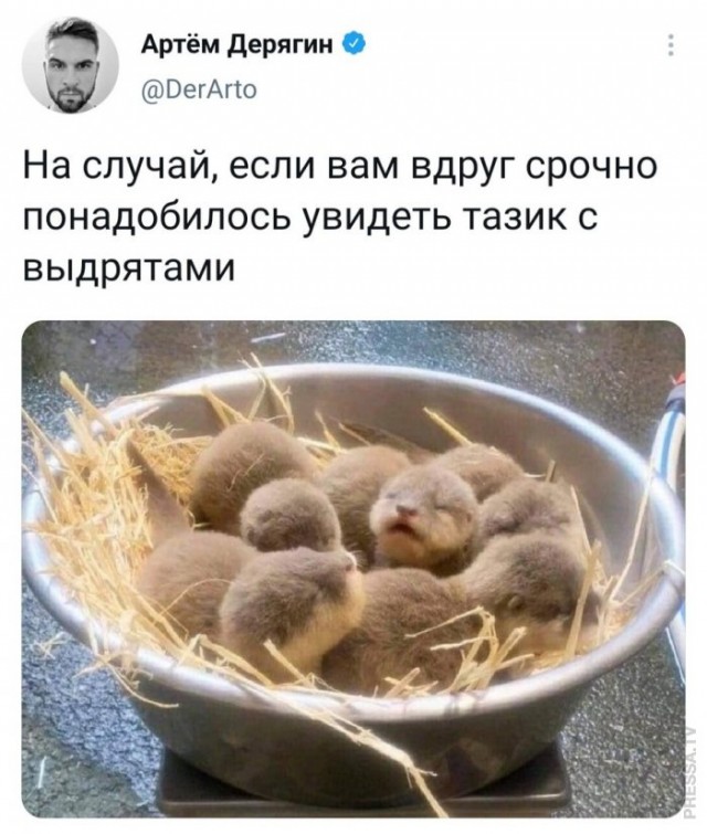 Картинки и мемы для настроения 12.05.2021