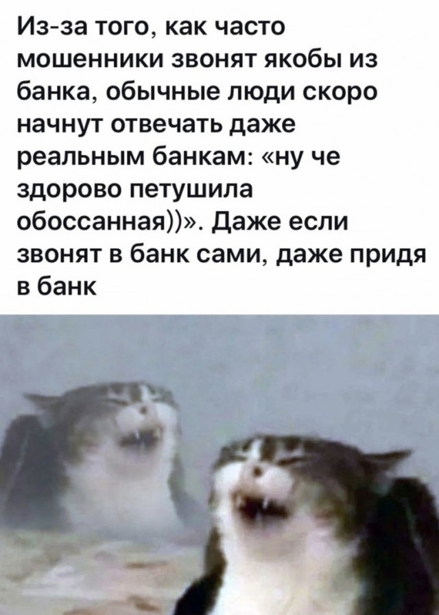 Здесь будет Петербург