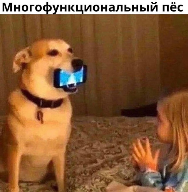 Так себе картинки 22.10.21