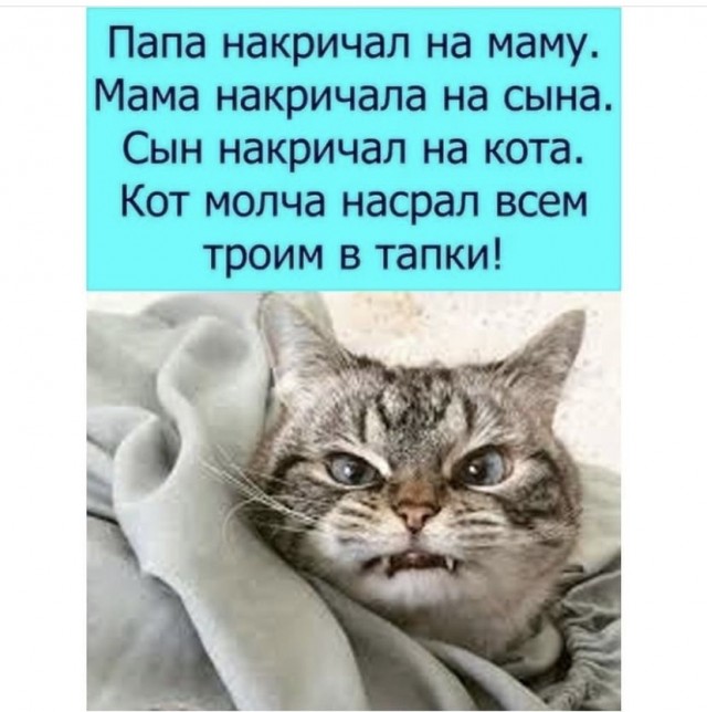 Делайте выводы