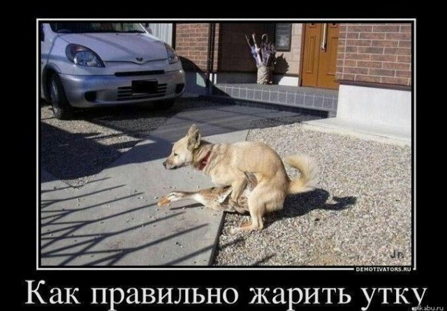 Подеградируем, побаяним...
