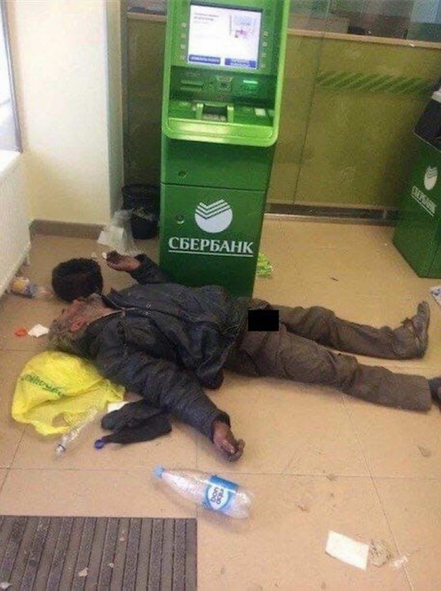 Скотсети и прочие интернеты 17.12.21