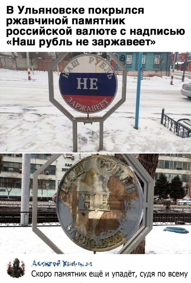 16269052.jpg