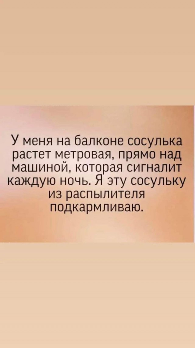 Всяческие картинки 27.12.2021