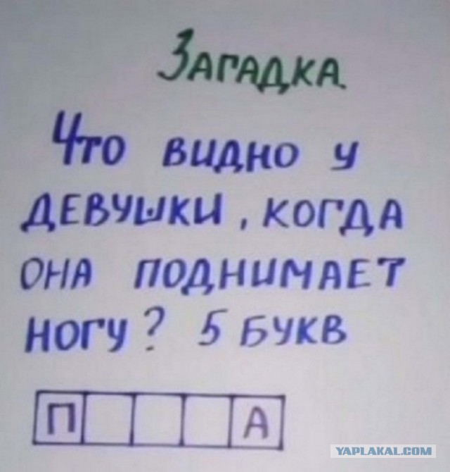 Утренняя подборка картинок и мемов - 4