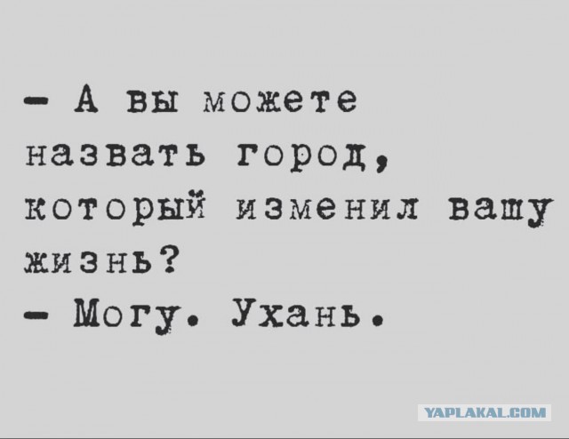 Чуток картинок 31.01.22