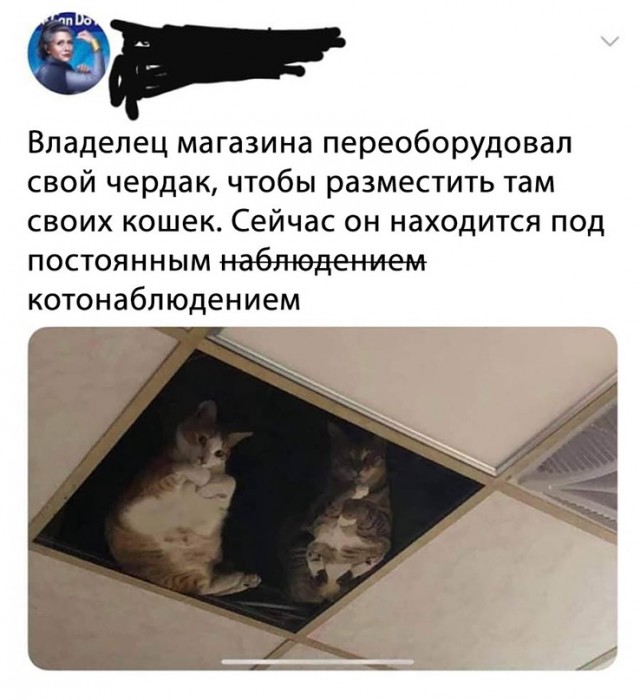 Картинки и мемы для настроения - 22