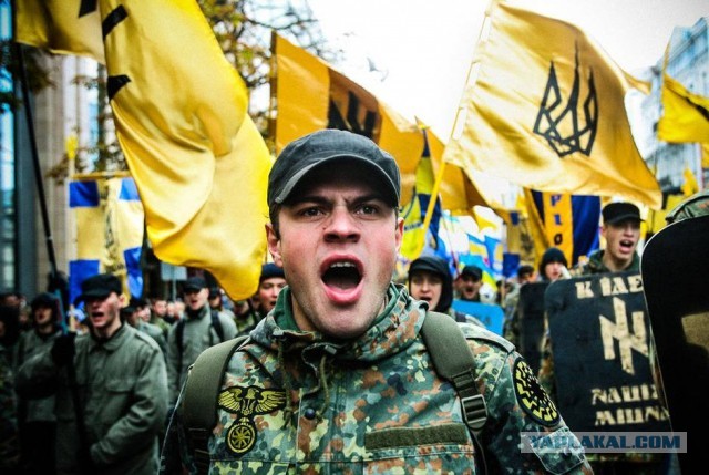 От Шевчука