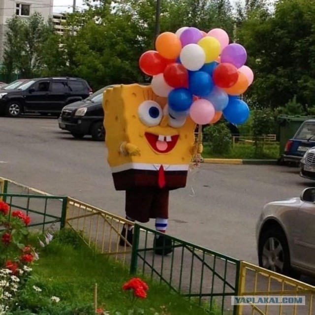 У меня ДР