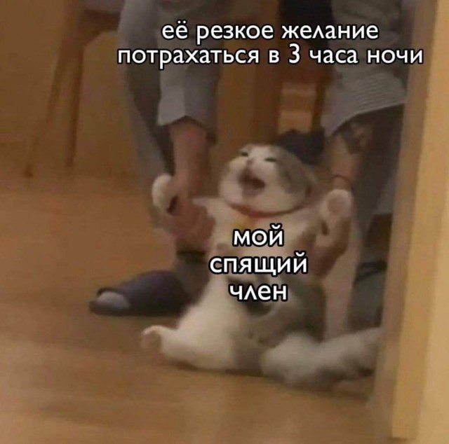 Пятница. И немного слегка пошлых картинок с надписями и без 16+ (25.03)