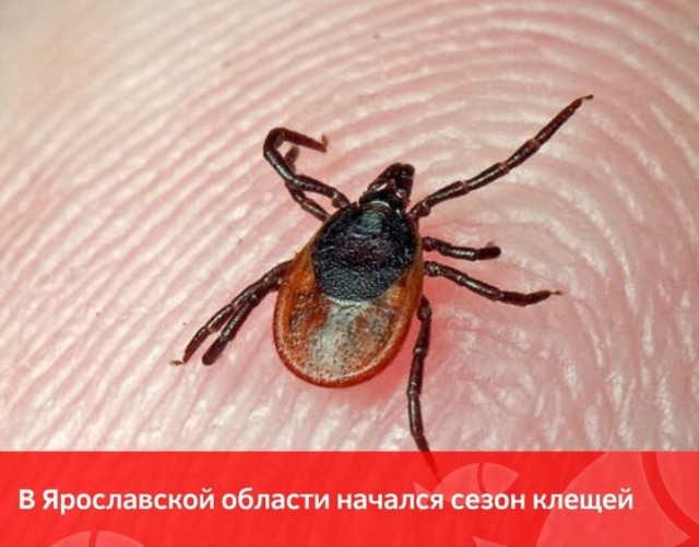Исповедь рогоносца