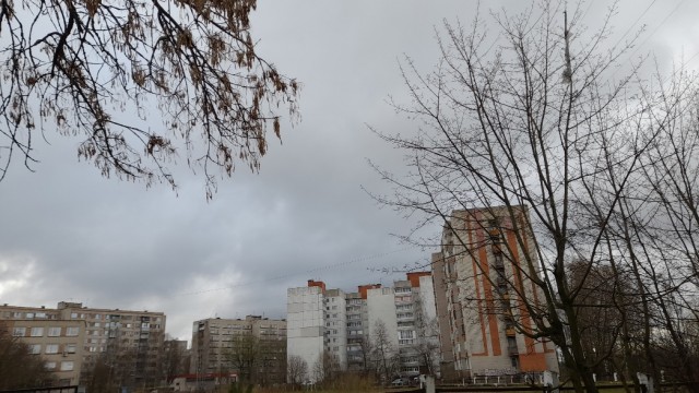 Женской дружбы не существует