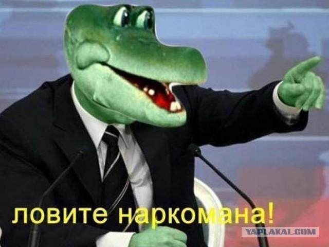 Во Флориде отдыхающие принялись убегать, когда копы привели собаку-ищейку, натасканную на поиск наркотиков