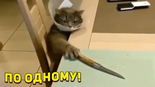 Изверги