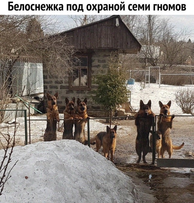 Картинки и мемы для настроения - 133