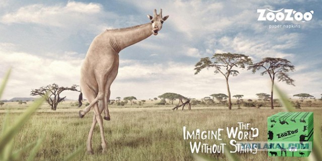 Оставьте свои заботы позади