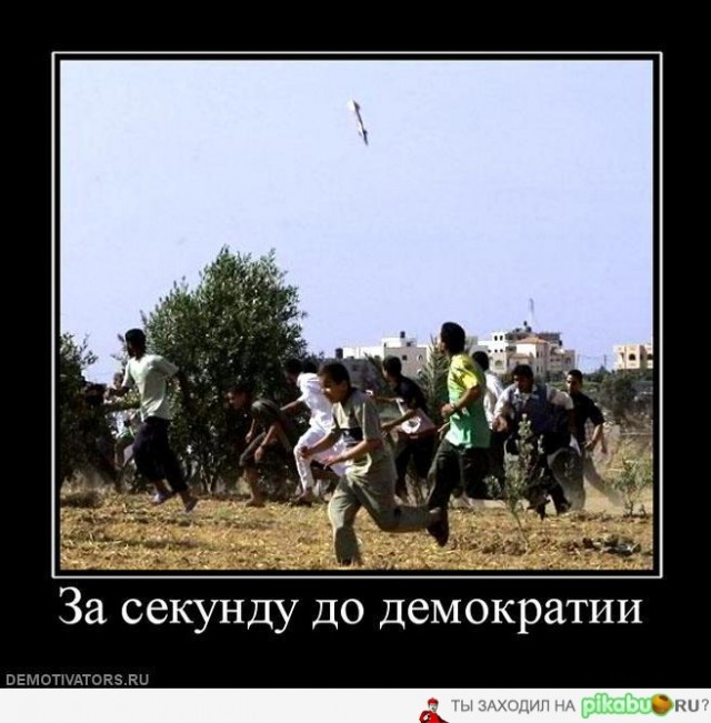 Очередная сборка картинок! Кому баян, кому гармонь, а кому в новинку!