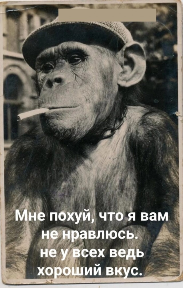 Ещё по одной