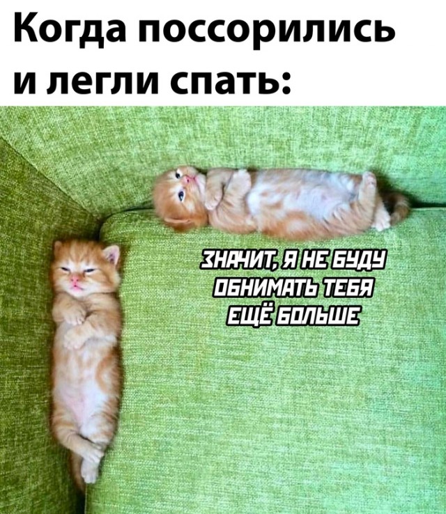 Картинок вам