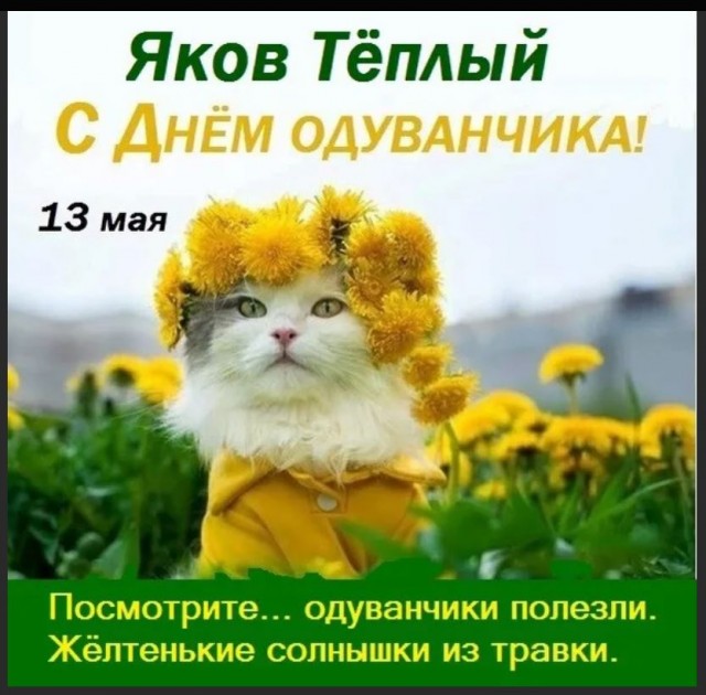 Победная поступь идиотизма по планете – том 14