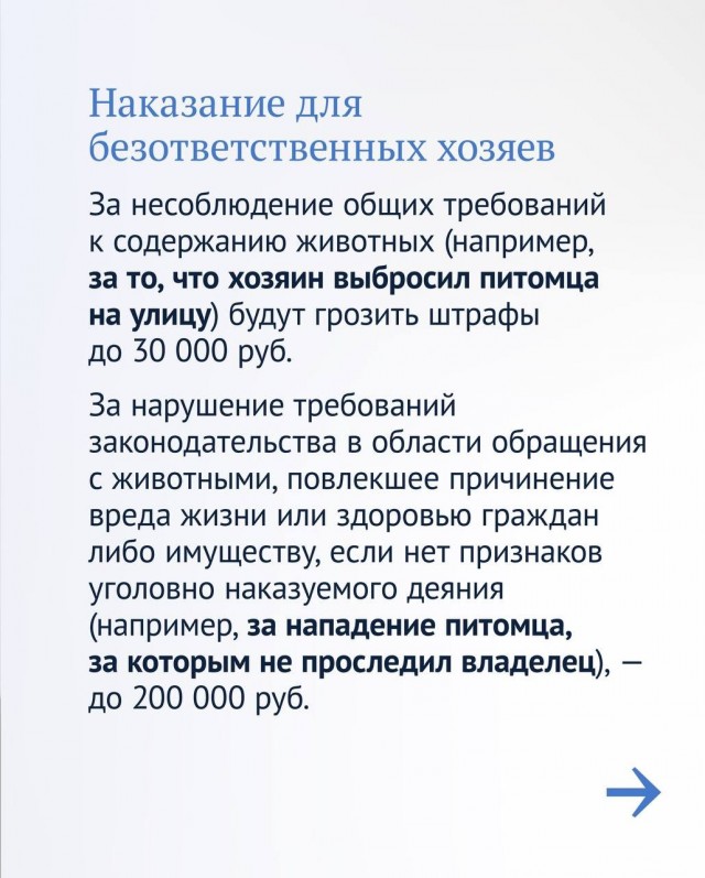 За жестокость к животным и избавление от питомцев могут установить крупные штрафы