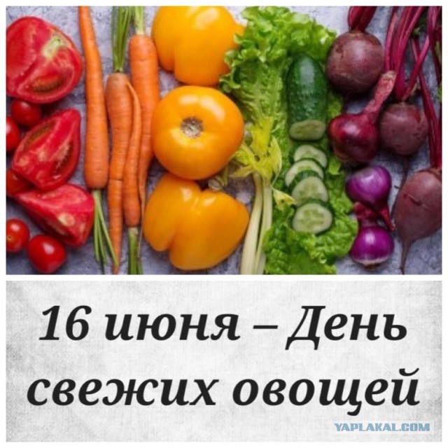 Почему женщина избегает исполнять супружеский долг?