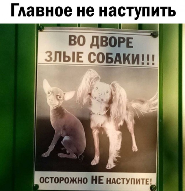Всего понемногу. От 26.07.23