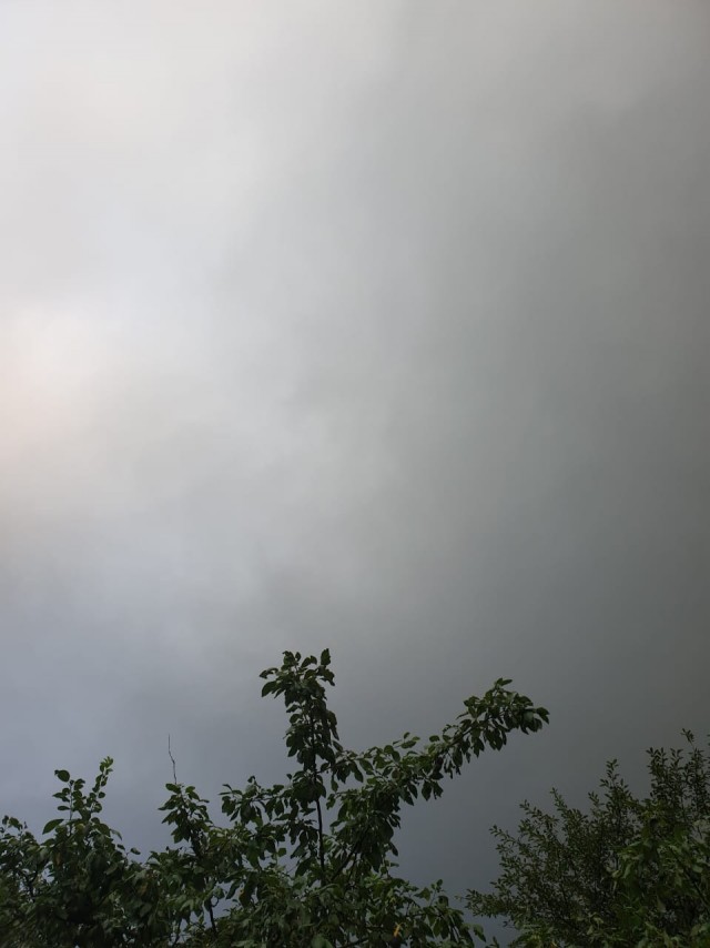 Демократия в опасности!
