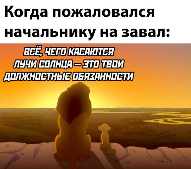 Весёлый полтишок 08.09.23