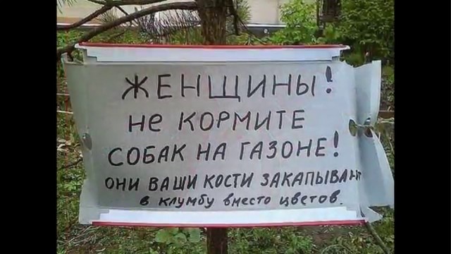 Так себе картинки 26.09.23