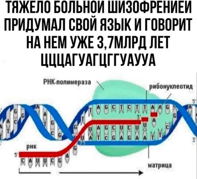 Отмена деградации V. Околонаучные картинки